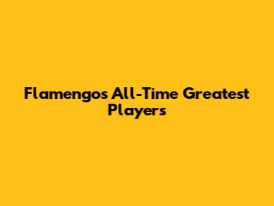 Flamengo's All-Time Greatest Players