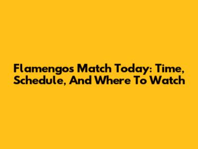 Flamengo's Match Today: Time, Schedule, And Where To Watch