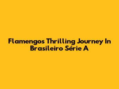 Flamengo's Thrilling Journey In Brasileiro Série A