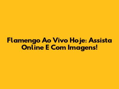 Flamengo Ao Vivo Hoje: Assista Online E Com Imagens!