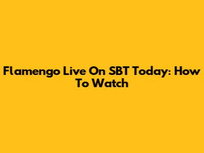 Flamengo Live On SBT Today: How To Watch