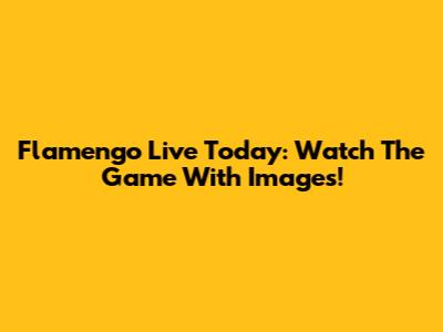 Flamengo Live Today: Watch The Game With Images!