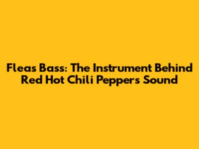 Flea's Bass: The Instrument Behind Red Hot Chili Peppers' Sound
