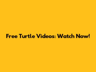 Free Turtle Videos: Watch Now!