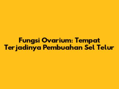 Fungsi Ovarium: Tempat Terjadinya Pembuahan Sel Telur