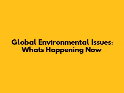Global Environmental Issues: What's Happening Now