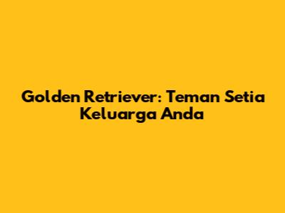 Golden Retriever: Teman Setia Keluarga Anda