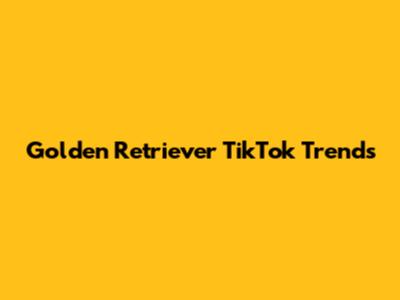 Golden Retriever TikTok Trends