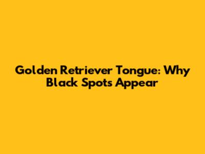 Golden Retriever Tongue: Why Black Spots Appear