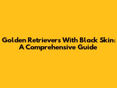 Golden Retrievers With Black Skin: A Comprehensive Guide