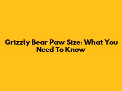 Grizzly Bear Paw Size: What You Need To Know
