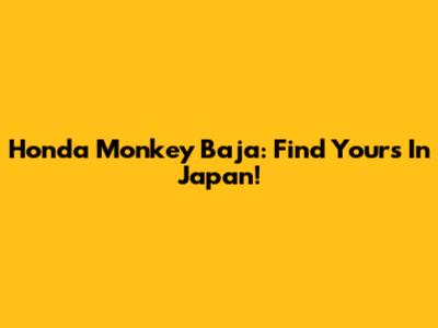Honda Monkey Baja: Find Yours In Japan!