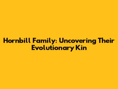 Hornbill Family: Uncovering Their Evolutionary Kin