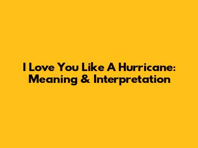 I Love You Like A Hurricane: Meaning & Interpretation