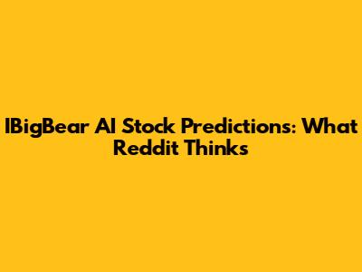 IBigBear AI Stock Predictions: What Reddit Thinks