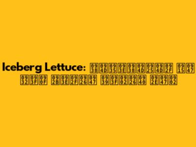 Iceberg Lettuce: स्वास्थ्य के लिए फायदे हिंदी में