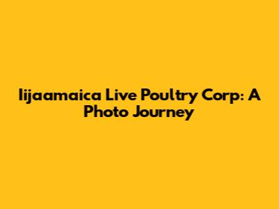 Iijaamaica Live Poultry Corp: A Photo Journey