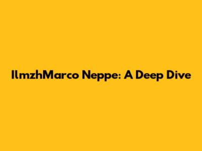 IlmzhMarco Neppe: A Deep Dive