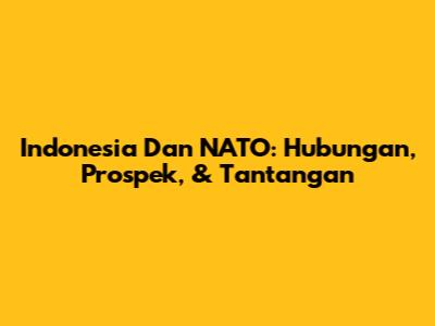Indonesia Dan NATO: Hubungan, Prospek, & Tantangan