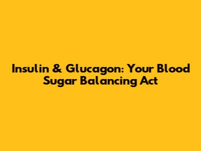 Insulin & Glucagon: Your Blood Sugar Balancing Act