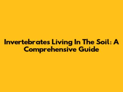 Invertebrates Living In The Soil: A Comprehensive Guide