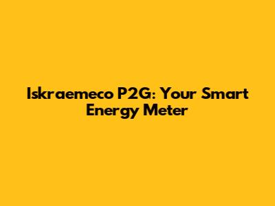 Iskraemeco P2G: Your Smart Energy Meter
