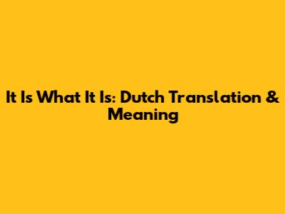 It Is What It Is: Dutch Translation & Meaning