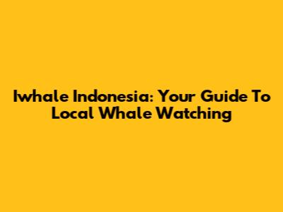 Iwhale Indonesia: Your Guide To Local Whale Watching