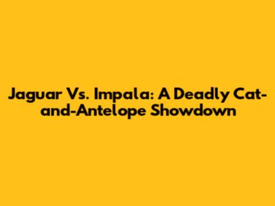 Jaguar Vs. Impala: A Deadly Cat-and-Antelope Showdown