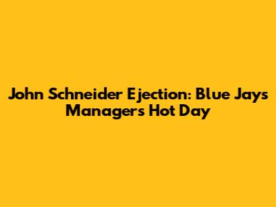 John Schneider Ejection: Blue Jays Manager's Hot Day