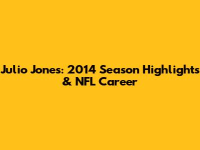 Julio Jones: 2014 Season Highlights & NFL Career