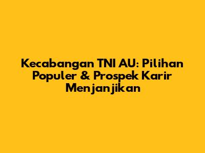 Kecabangan TNI AU: Pilihan Populer & Prospek Karir Menjanjikan