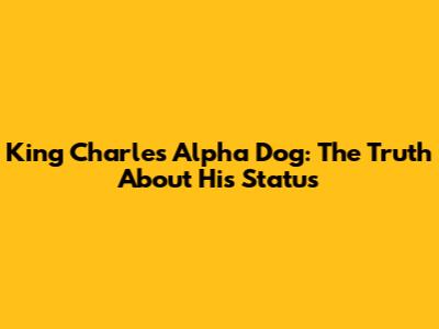 King Charles Alpha Dog: The Truth About His Status