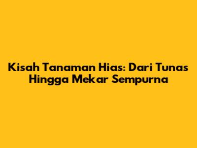 Kisah Tanaman Hias: Dari Tunas Hingga Mekar Sempurna