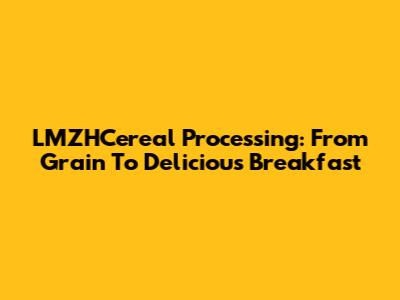 LMZHCereal Processing: From Grain To Delicious Breakfast
