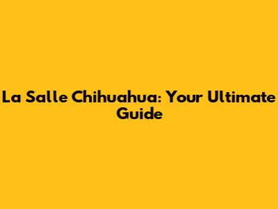 La Salle Chihuahua: Your Ultimate Guide
