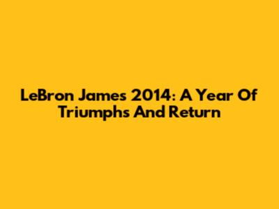 LeBron James 2014: A Year Of Triumphs And Return