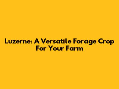 Luzerne: A Versatile Forage Crop For Your Farm