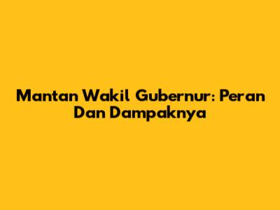 Mantan Wakil Gubernur: Peran Dan Dampaknya