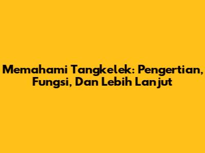 Memahami Tangkelek: Pengertian, Fungsi, Dan Lebih Lanjut