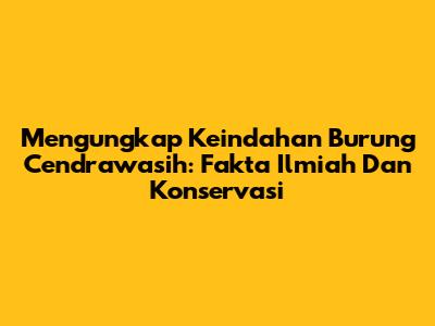 Mengungkap Keindahan Burung Cendrawasih: Fakta Ilmiah Dan Konservasi
