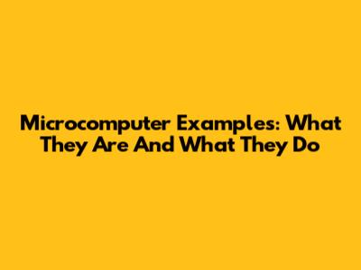 Microcomputer Examples: What They Are And What They Do