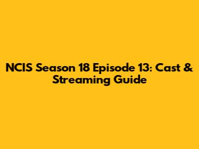 NCIS Season 18 Episode 13: Cast & Streaming Guide