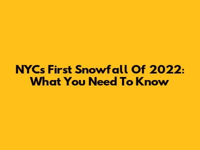 NYC's First Snowfall Of 2022: What You Need To Know