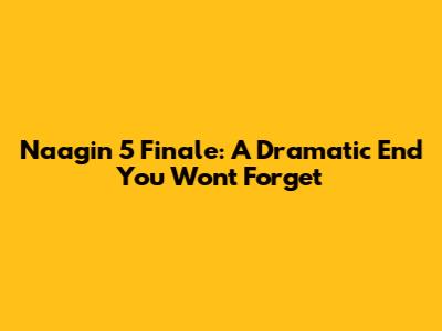 Naagin 5 Finale: A Dramatic End You Won't Forget