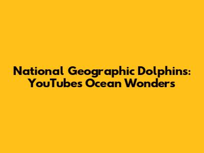 National Geographic Dolphins: YouTube's Ocean Wonders