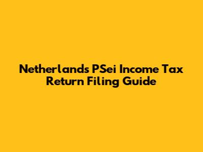 Netherlands PSei Income Tax Return Filing Guide