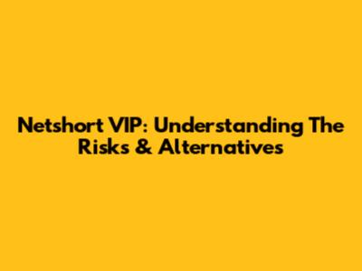 Netshort VIP: Understanding The Risks & Alternatives