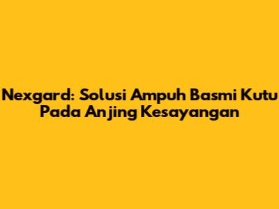 Nexgard: Solusi Ampuh Basmi Kutu Pada Anjing Kesayangan