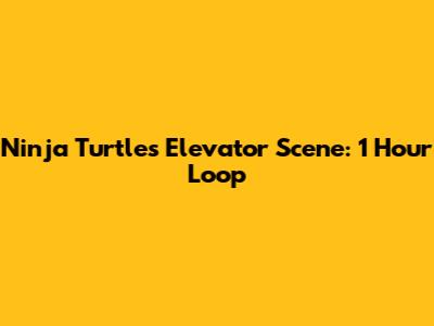 Ninja Turtles Elevator Scene: 1 Hour Loop
